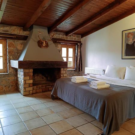 Ps Houses Arachova - Ps Rental 外观 照片